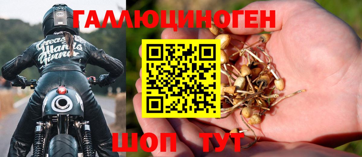 Печора  Псилоцибиновые грибы Psilocybine cubensis  Вход с VPN 